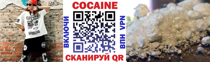 Кокаин Fish Scale  Купить закладки  Нижняя Тура 