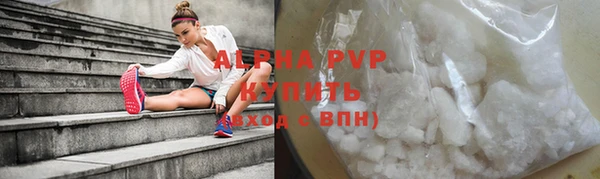 сатива Дмитров