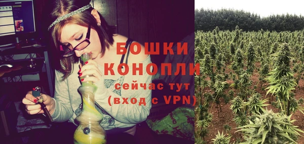сатива Дмитров