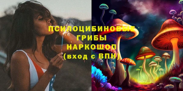 сатива Дмитров