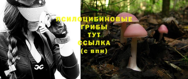 мдма Дмитриев