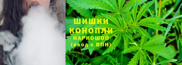 сатива Дмитров
