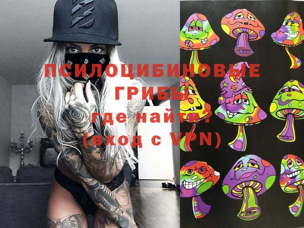 сатива Дмитров