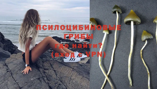 сатива Дмитров
