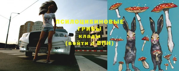 сатива Дмитров